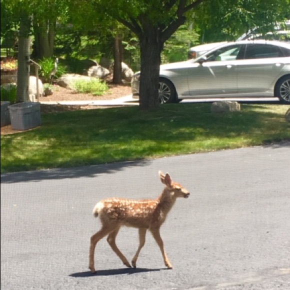 Meet your Posher, T - Picture 3 of 6